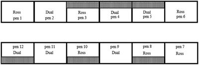 Effects of an Elevated Platform on Welfare Aspects in Male Conventional Broilers and Dual-Purpose Chickens